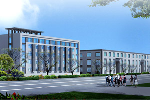 �����횵��S